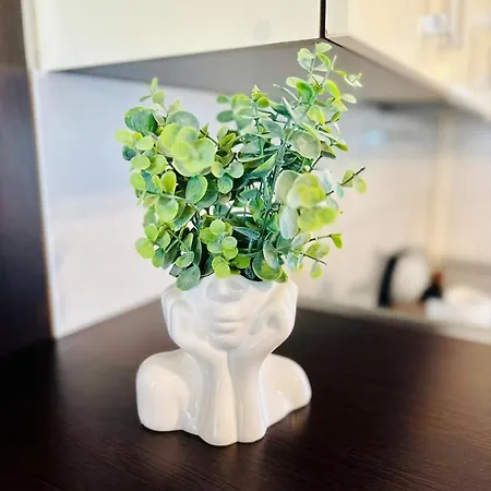 Moon Modern Apartament *